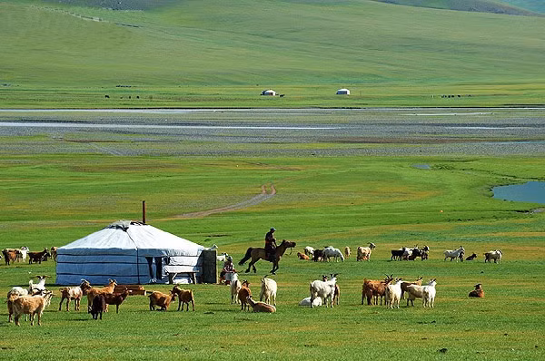 Châu Á có diện tích lớn nhất thế giới với tổng diện tích đất liền 44.579.000 km2, chiếm 8,6% diện tích của bề mặt Trái Đất, 30% diện tích đất liền trên thế giới.