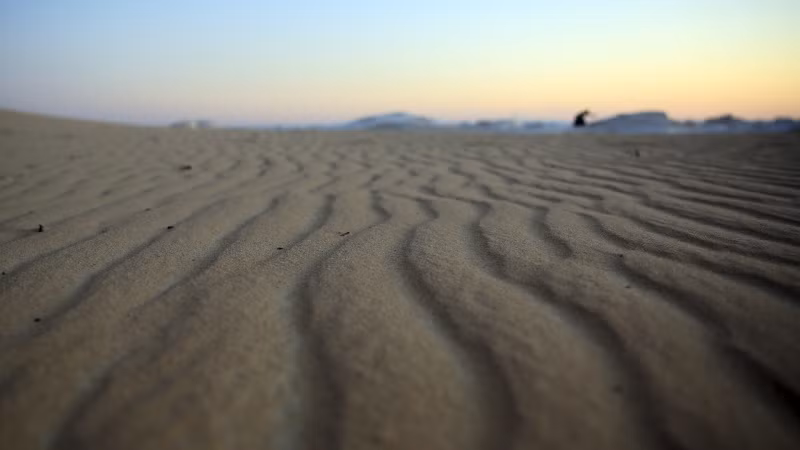 Hoang mạc lớn nhất thế giới chính là châu Nam Cực, có diện tích khoảng 14 triệu km2. Nam Cực cũng là khu vực khô hạn nhất trên Trái Đất. Nơi đây có nhiều vùng hàng trăm năm không hề có mưa, tiêu biểu như Thung lũng McMurdo (thung lũng Khô) các nhà khoa học khẳng định là nơi khô hạn nhất trên Trái Đất.