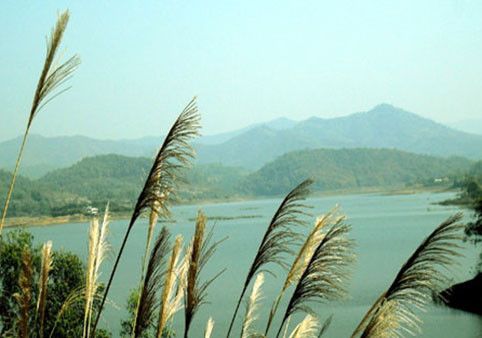 Bên cạnh các di tích lịch sử, văn hóa, Bắc Giang còn có nhiều cảnh quan thiên nhiên tươi đẹp như: Khu thắng cảnh Suối Mỡ (huyện Lục Nam); hồ Cấm Sơn, hồ Khuôn Thần (huyện Lục Ngạn); Rừng nguyên sinh Khe Rỗ, Tây Yên Tử (huyện Sơn Động)…