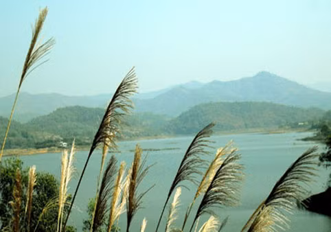 Bên cạnh các di tích lịch sử, văn hóa, Bắc Giang còn có nhiều cảnh quan thiên nhiên tươi đẹp như: Khu thắng cảnh Suối Mỡ (huyện Lục Nam); hồ Cấm Sơn, hồ Khuôn Thần (huyện Lục Ngạn); Rừng nguyên sinh Khe Rỗ, Tây Yên Tử (huyện Sơn Động)…