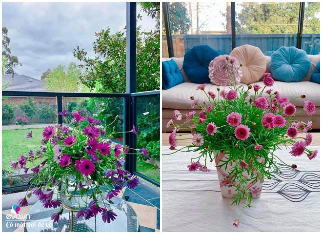 “Về màu sắc của bình, lọ phải tương thích với hoa bạn chọn, không nên chọn bình có màu nổi bật hơn hoa hay quá lòe loẹt lấn lướt hoa. Theo kinh nghiệm của cá nhân mình, một bình hoa không nên có quá nhiều màu, chỉ nên tối đa 3 màu, đồng thời các màu này phải có sự hài hòa, tương đồng và phù hợp với không gian đặt bình hoa.