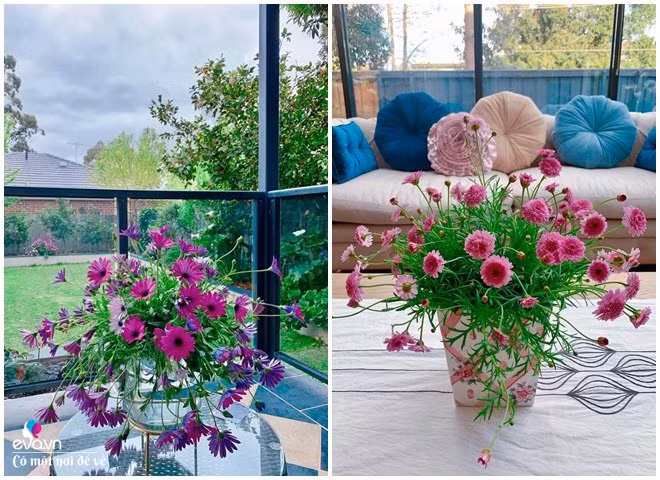 “Về màu sắc của bình, lọ phải tương thích với hoa bạn chọn, không nên chọn bình có màu nổi bật hơn hoa hay quá lòe loẹt lấn lướt hoa. Theo kinh nghiệm của cá nhân mình, một bình hoa không nên có quá nhiều màu, chỉ nên tối đa 3 màu, đồng thời các màu này phải có sự hài hòa, tương đồng và phù hợp với không gian đặt bình hoa.