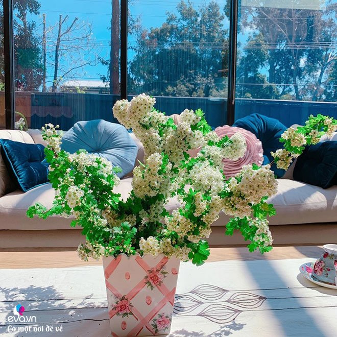 Cắm cỏ dại cũng thành nghệ thuật. Chị Bắc cho biết, đối với chị, hoa nào cũng đẹp, cũng xinh và hoa nào chị cũng thích. Mỗi loài hoa có một vẻ đẹp riêng, tiếng nói riêng mang đến cho con người những xúc cảm riêng, kể cả những loài hoa dại. Chính vì vậy, mỗi ngày chị thường lượm nhặt những bông hoa trong vườn, mùa nào hoa nấy mà không hề phải tốn tiền mua hoa. Thậm chí, có khi chị còn cắm cả cỏ dại trang điểm cho không gian sống của mình.