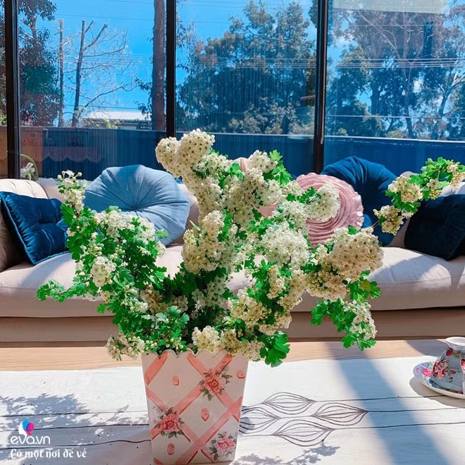 Cắm cỏ dại cũng thành nghệ thuật. Chị Bắc cho biết, đối với chị, hoa nào cũng đẹp, cũng xinh và hoa nào chị cũng thích. Mỗi loài hoa có một vẻ đẹp riêng, tiếng nói riêng mang đến cho con người những xúc cảm riêng, kể cả những loài hoa dại. Chính vì vậy, mỗi ngày chị thường lượm nhặt những bông hoa trong vườn, mùa nào hoa nấy mà không hề phải tốn tiền mua hoa. Thậm chí, có khi chị còn cắm cả cỏ dại trang điểm cho không gian sống của mình.