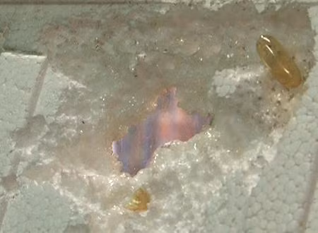 Dau ca Omega 3 an mon mieng xop co lam chet nguoi?-Hinh-2