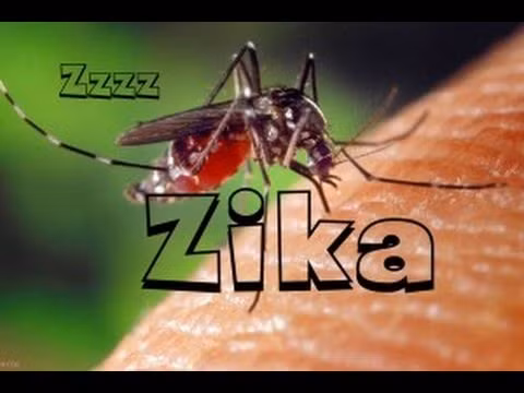 Bo Y te chi dao phong ngua virus Zika an nao nguoi