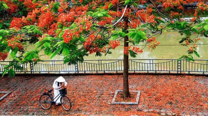 Cuộc đời ông đã trải qua nhiều thăng trầm. Ban đầu ông làm nghề khuân vác trên bến cảng Hải Phòng, sau đó chuyển sang làm công nhân đóng tàu. Có thời gian dài ông làm nghề áp tải. Thời kỳ bài thơ "Thời hoa đỏ" được phổ nhạc, ông bán sách trên vỉa hè sau khi thôi làm công nhân đóng tàu.