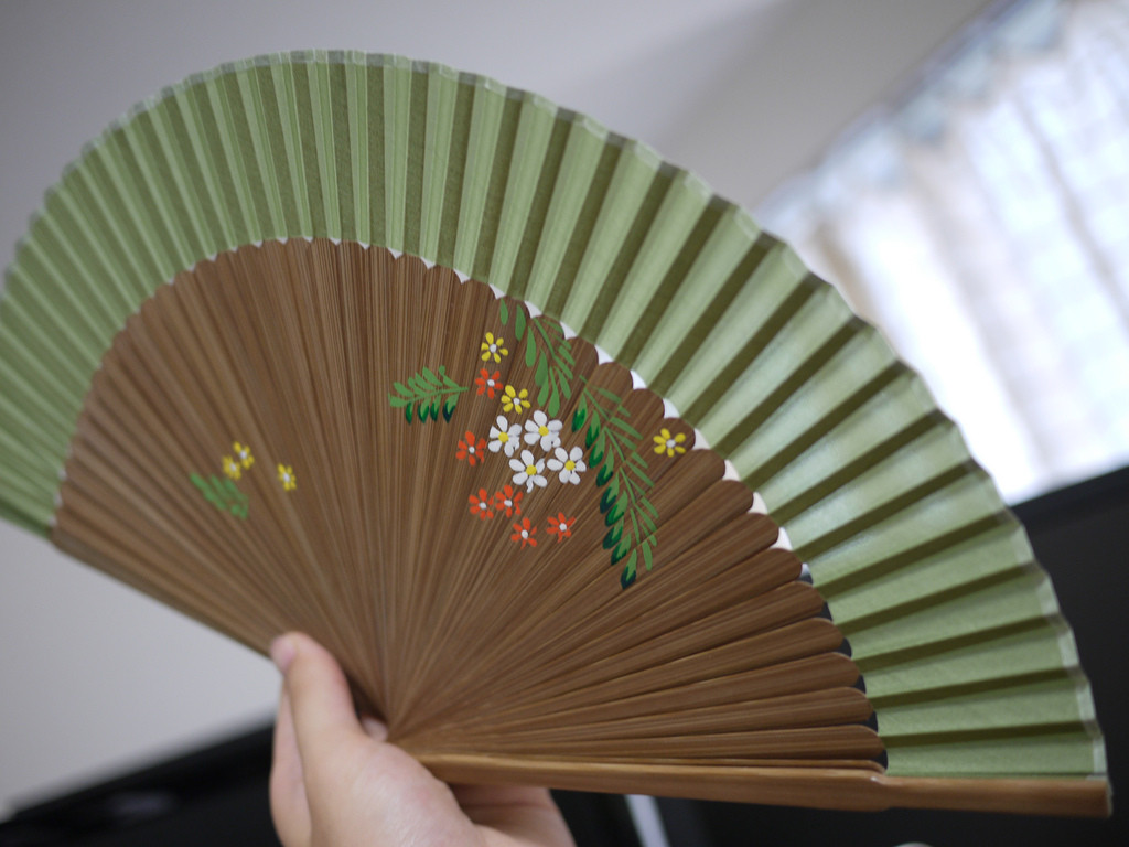 Ngày nay các loại quạt này vẫn còn nhưng chủ yếu dùng khi mất điện. Nhất là những nhà có trẻ nhỏ, hầu như đều thủ sẵn một chiếc quạt nan, quạt giấy.