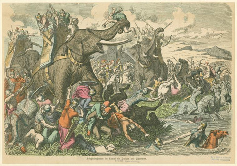 Dưới quyền Bùi Thị Xuân có hơn 2000 nữ binh và hơn 100 thớt voi.