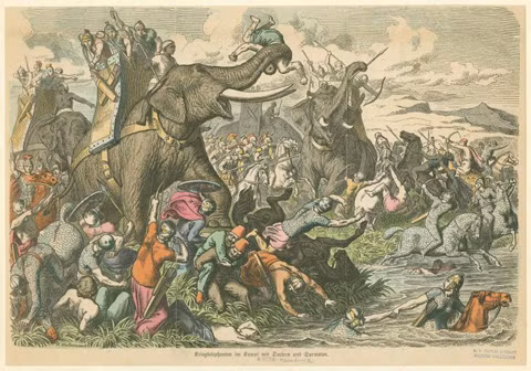 Dưới quyền Bùi Thị Xuân có hơn 2000 nữ binh và hơn 100 thớt voi.