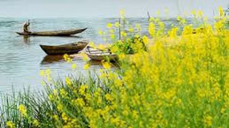 Chuyen tinh rut re nhut nhat mang ten Mua hoa cai-Hinh-5