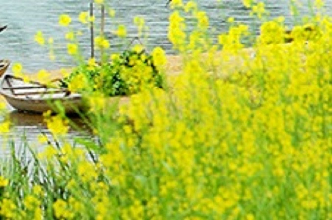 Đặc biệt, trong bài hát, nhạc sỹ đã để người con gái "bước sang ngang" bởi ông không muốn xây dựng lại hình tượng người đàn bà hóa đá vọng phu.