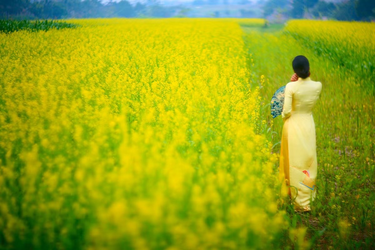 Chuyen tinh rut re nhut nhat mang ten Mua hoa cai-Hinh-3