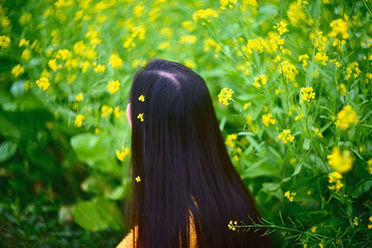 Chuyen tinh rut re nhut nhat mang ten Mua hoa cai-Hinh-4