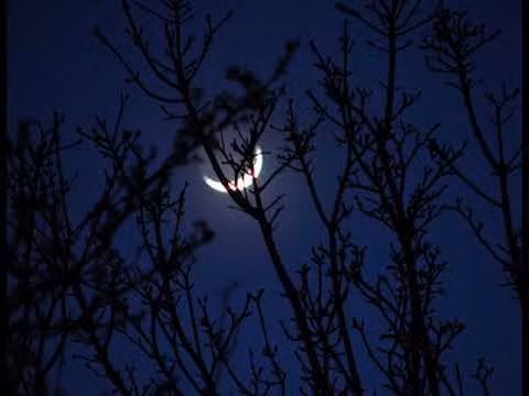 Đây chính là điểm thu hút người đọc của Mảnh trăng cuối rừng. Nguyễn Minh Châu đã thổi vào tác phẩm tình huống cùng mối tình thơ mộng và lạ lùng giữa hai nhân vật.