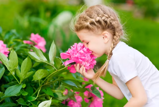 Hương hoa rất đa dạng, có hoa mùi khó chịu, hoa mùi hắc, nhưng lại có nhiều hoa có mùi thơm quyến rũ ong bướm lẫn con người. 