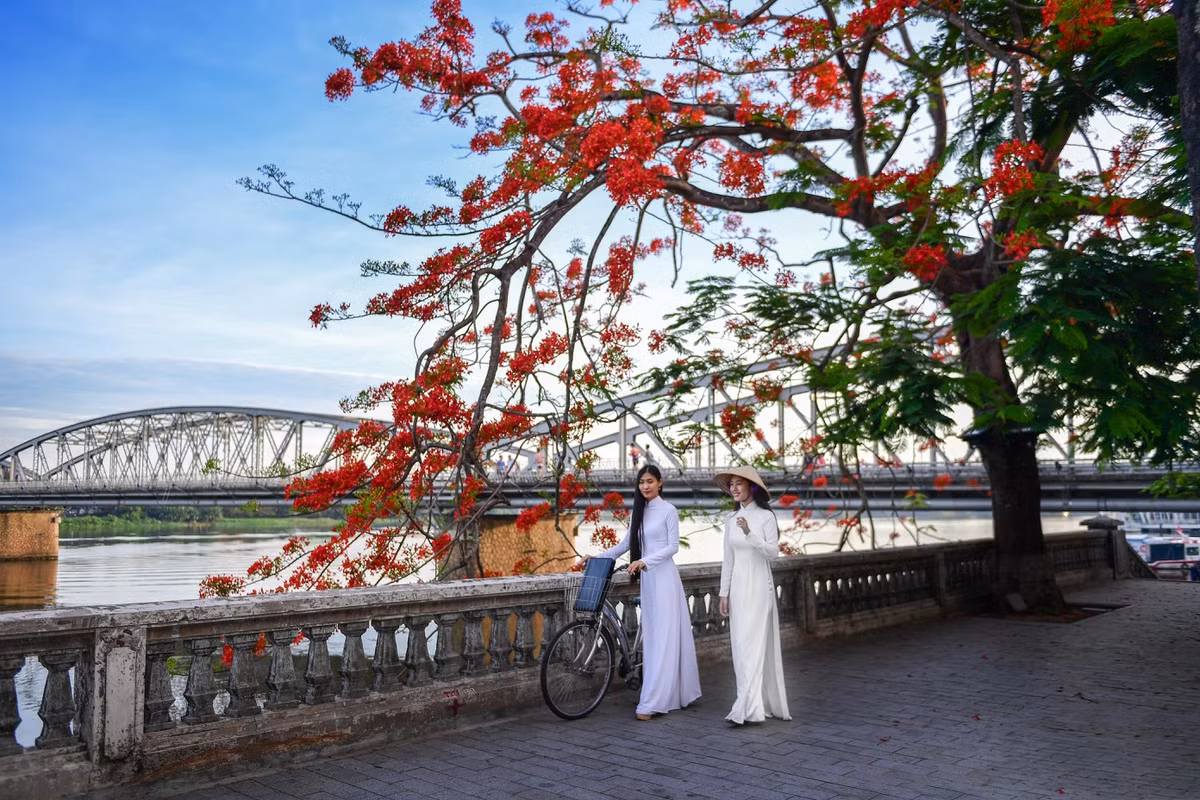 Từ cầu Tràng Tiền (hay Trường Tiền), bạn có thể chiêm ngưỡng cận cảnh vẻ đẹp của sông Hương. Cây cầu "6 vài 12 nhịp" nối bờ Bắc và Nam TP Huế, là điểm nhấn duyên dáng cho dòng Hương Giang. Biểu tượng cố đô được xây dựng bằng thép, dài hơn 400 m, có thiết kế đẹp mắt theo phong cách kiến trúc Gothic. Hàng phượng đỏ mỗi hè về tạo cho nơi đây cảnh đẹp khó quên. Ảnh: Lê Huy Hoàng Hải.