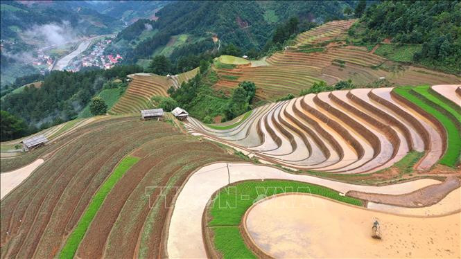 Yên Bái: Vẻ đẹp ruộng bậc thang Mù Cang Chải - Hình 3 Yen Bai: Ve dep ruong bac thang Mu Cang Chai-Hinh-3