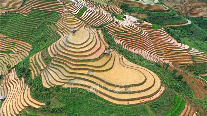 Yên Bái: Vẻ đẹp ruộng bậc thang Mù Cang Chải - Hình 4 Yen Bai: Ve dep ruong bac thang Mu Cang Chai-Hinh-4