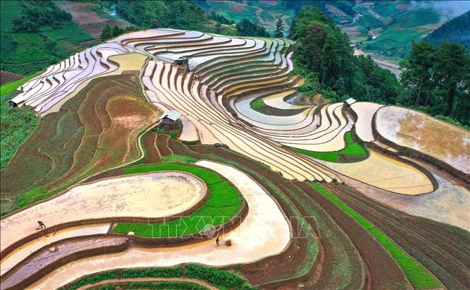 Yên Bái: Vẻ đẹp ruộng bậc thang Mù Cang Chải - Hình 5 Yen Bai: Ve dep ruong bac thang Mu Cang Chai-Hinh-5