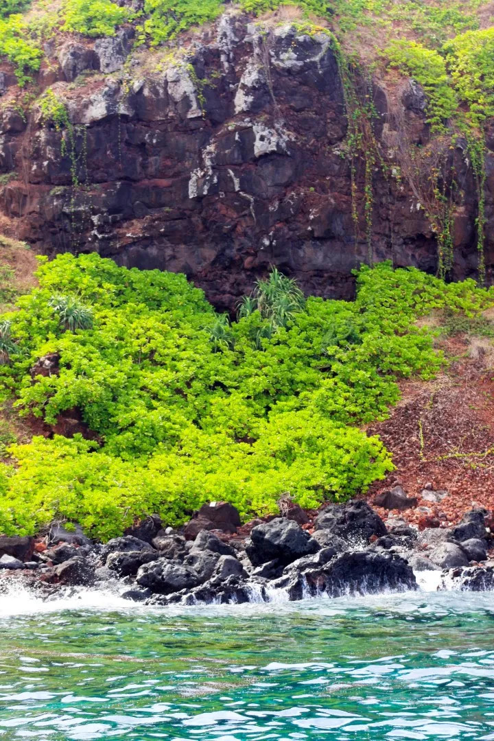 Hon Tranh - Diem den ly tuong cho du khach-Hinh-3