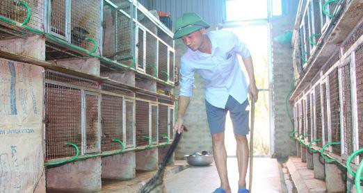 Nuôi động vật hoang dã, có doanh thu 1,4 tỷ đồng/năm Nuoi dong vat hoang da, co doanh thu 1,4 ty dong/nam