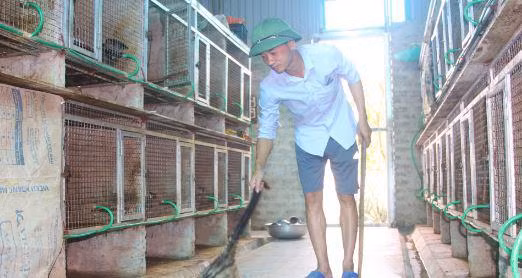 Nuoi dong vat hoang da, co doanh thu 1,4 ty dong/nam