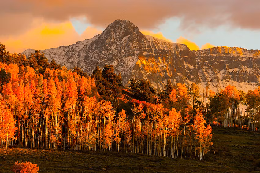Còn ở tiểu bang Colorado – phía tây miền Trung nước Mỹ nghiêm cấm nam giới hôn một người phụ nữ đang ngủ.