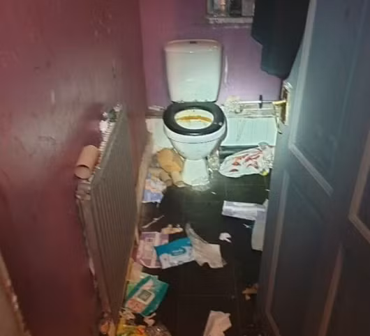 Hai hung ben trong “nha o chuot” noi 6 dua tre sinh song-Hinh-6