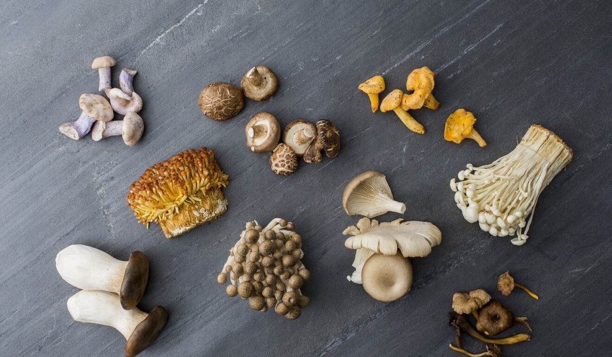 Trong hàng trăm năm, các thầy thuốc Trung Quốc đã sử dụng nấm - loại thực phẩm rất giàu vitamin, chất dinh dưỡng và chất chống oxy hóa - trong việc chữa bệnh, bao gồm cả bệnh phổi. Ảnh: Getty.