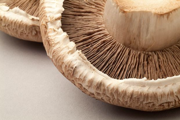 "Bổ sung chất chống oxy hóa trong cơ thể có thể giúp chống lại tình trạng ứng kích oxy hóa cũng như làm giảm nguy cơ ung thư", Djibril nói thêm. Ảnh: GM.