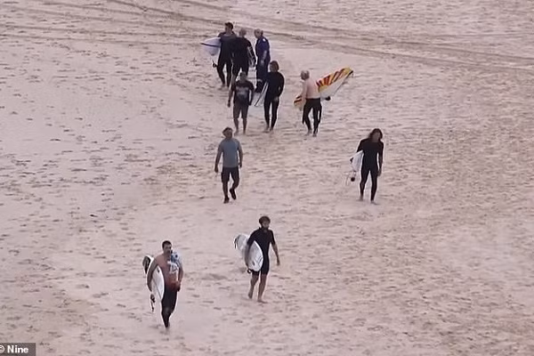 Hai hung ca map can tu vong nguoi luot song-Hinh-2