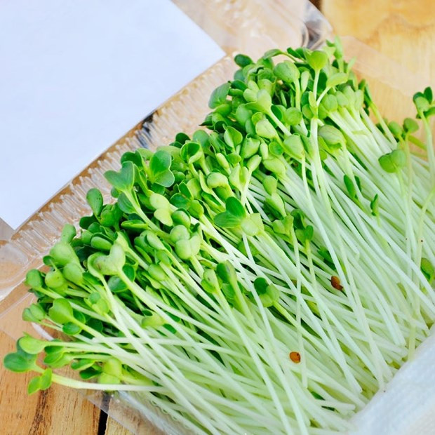 Rau mầm là một trong những loại thực phẩm nên ăn sống vì nó chứa nhiều chất dinh dưỡng, có vai trò chống oxy hóa trong cơ thể bạn.