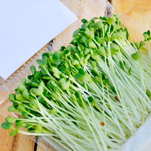 Rau mầm là một trong những loại thực phẩm nên ăn sống vì nó chứa nhiều chất dinh dưỡng, có vai trò chống oxy hóa trong cơ thể bạn.