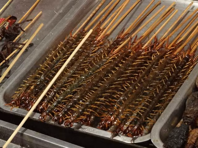 Cách chế biến món rết nướng khá đơn giản. Những con rết còn sống được cho vào nước đá ngâm cho tới khi chúng tê liệt, sau đó để ráo nước rồi được xiên vào những thanh tre nhỏ.