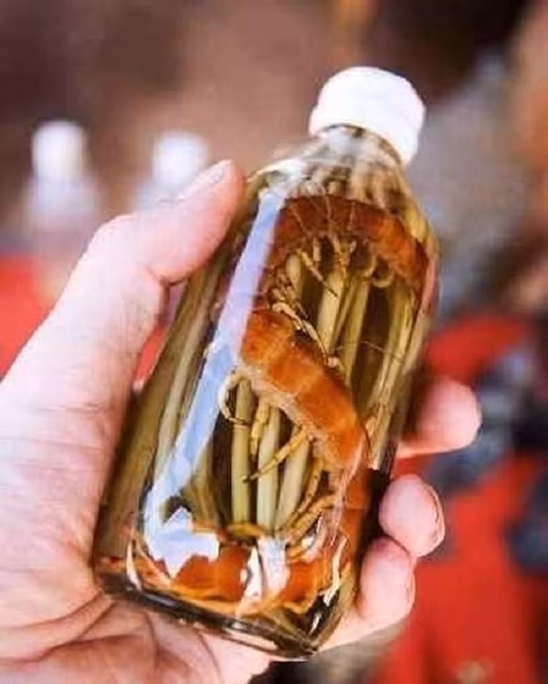 Rượu rết được sử dụng để xoa bóp trong các trường hợp đau nhức, phong thấp, té ngã tụ máu. Rượu này còn có thể bôi lên chỗ mụn nhọt mới mọc cho tan hay tẩm bông xoa lên chỗ rắn cắn để giải độc.