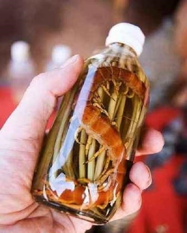 Rượu rết được sử dụng để xoa bóp trong các trường hợp đau nhức, phong thấp, té ngã tụ máu. Rượu này còn có thể bôi lên chỗ mụn nhọt mới mọc cho tan hay tẩm bông xoa lên chỗ rắn cắn để giải độc.