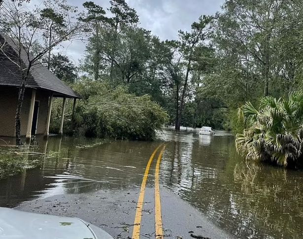 Hai hung phat hien bo phan thi the nguoi trong bung ca sau-Hinh-2