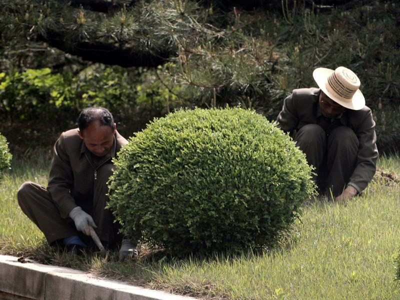 Thỉnh thoảng vẫn có người được nhìn thấy dọn cỏ hoặc tỉa cây ở những khu vực trung tâm của ngôi làng này. Ảnh: LAT.