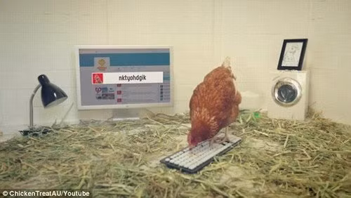 "Cô gà" Betty mới nhận chức giám đốc truyền thông cho hãng đồ ăn nhanh Chicken Treat của Úc.