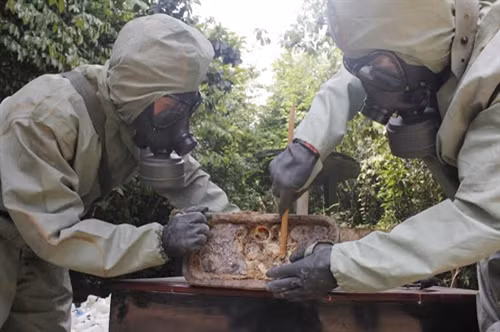 Những quả đạn phóng còn nguyên vẹn đặc biệt nguy hiểm.