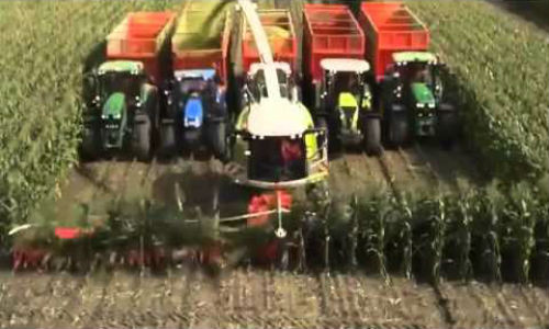 Máy chặt ngô hiện đại.