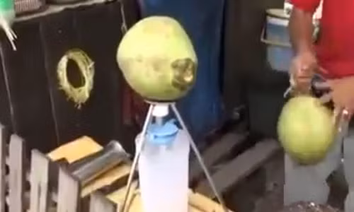 Dụng cụ lấy nước dừa siêu nhanh.