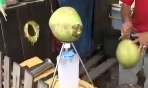 Dụng cụ lấy nước dừa siêu nhanh.