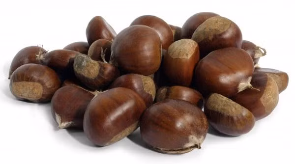 Hạt dẻ có nhiều công dụng chữa bệnh tuyệt vời.