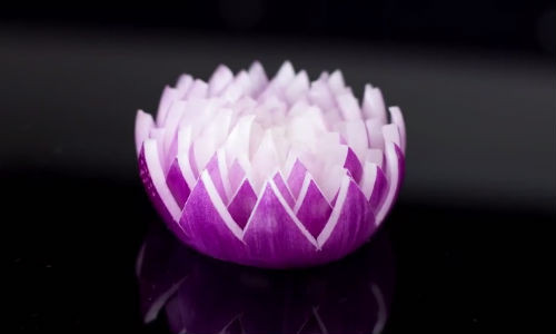 Bông hoa từ hành tím tuyệt đẹp.