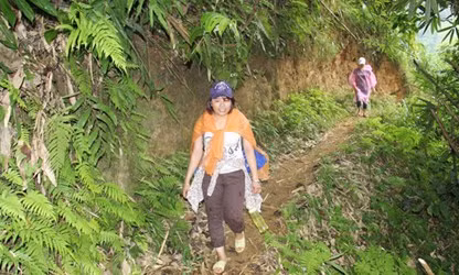 Xe rung day hoc, khai duong mon mang ten co giao