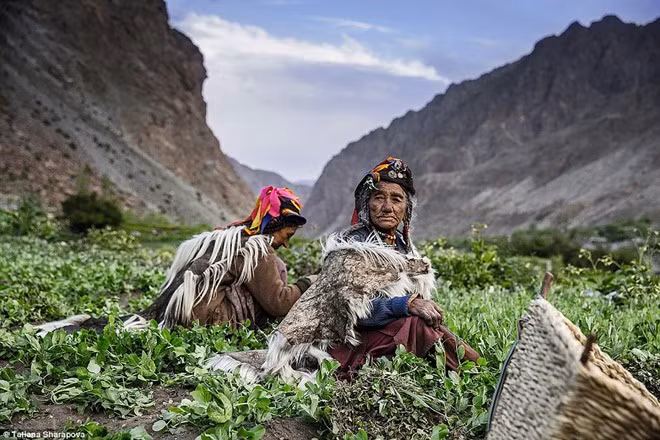 Tác phẩm “Làm việc trên núi” của tác giả Tatiana Sharapova, Nga, khắc họa một bà lão người làm việc tại một cánh đồng trên núi ở Ấn Độ. Bà trồng rau để bán ở chợ. Ảnh: Tatiana Sharapova.