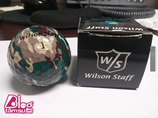 Chắc chắn thương hiệu trên bề mặt trái bóng sẽ nhanh chóng bị xóa sổ khi lăn trên sân cỏ.