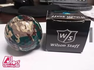 Chắc chắn thương hiệu trên bề mặt trái bóng sẽ nhanh chóng bị xóa sổ khi lăn trên sân cỏ.